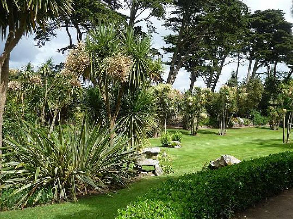 131 Ile de Batz Jardin Georges Delaselle_000017.jpg